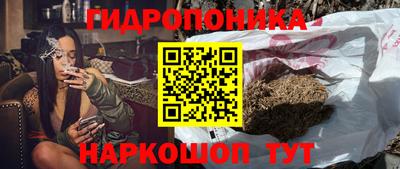 эйфоретик Будённовск