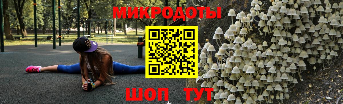 Галлюциногенные грибы Psilocybe  Вход с VPN  Лыткарино  Псилоцибиновые грибы прущие грибы 